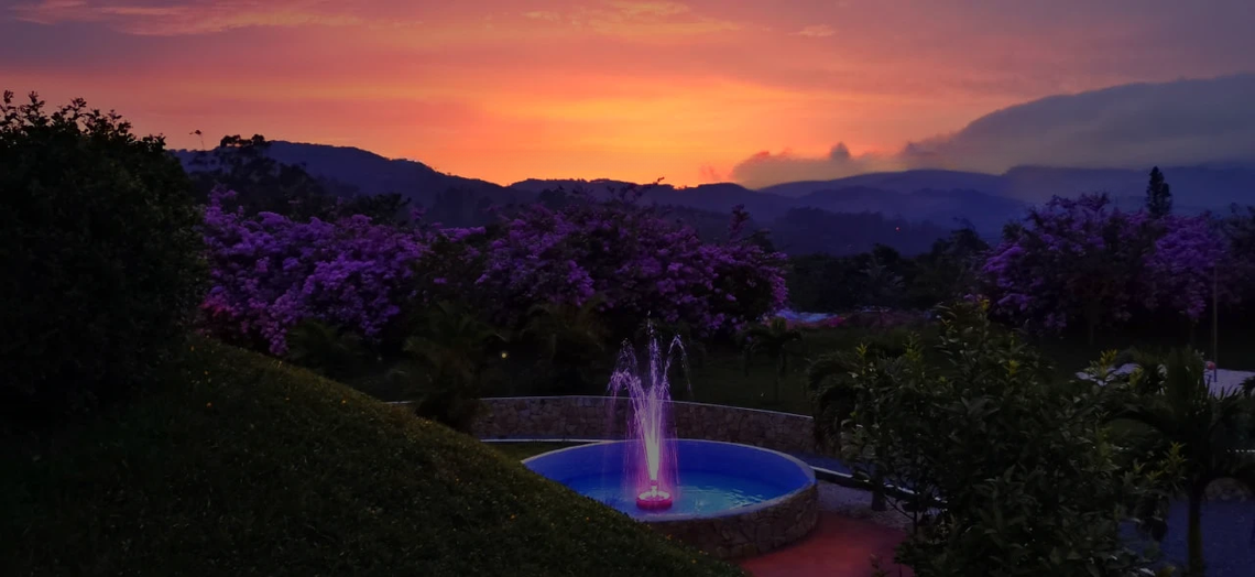 Eco-Friendly Elegance