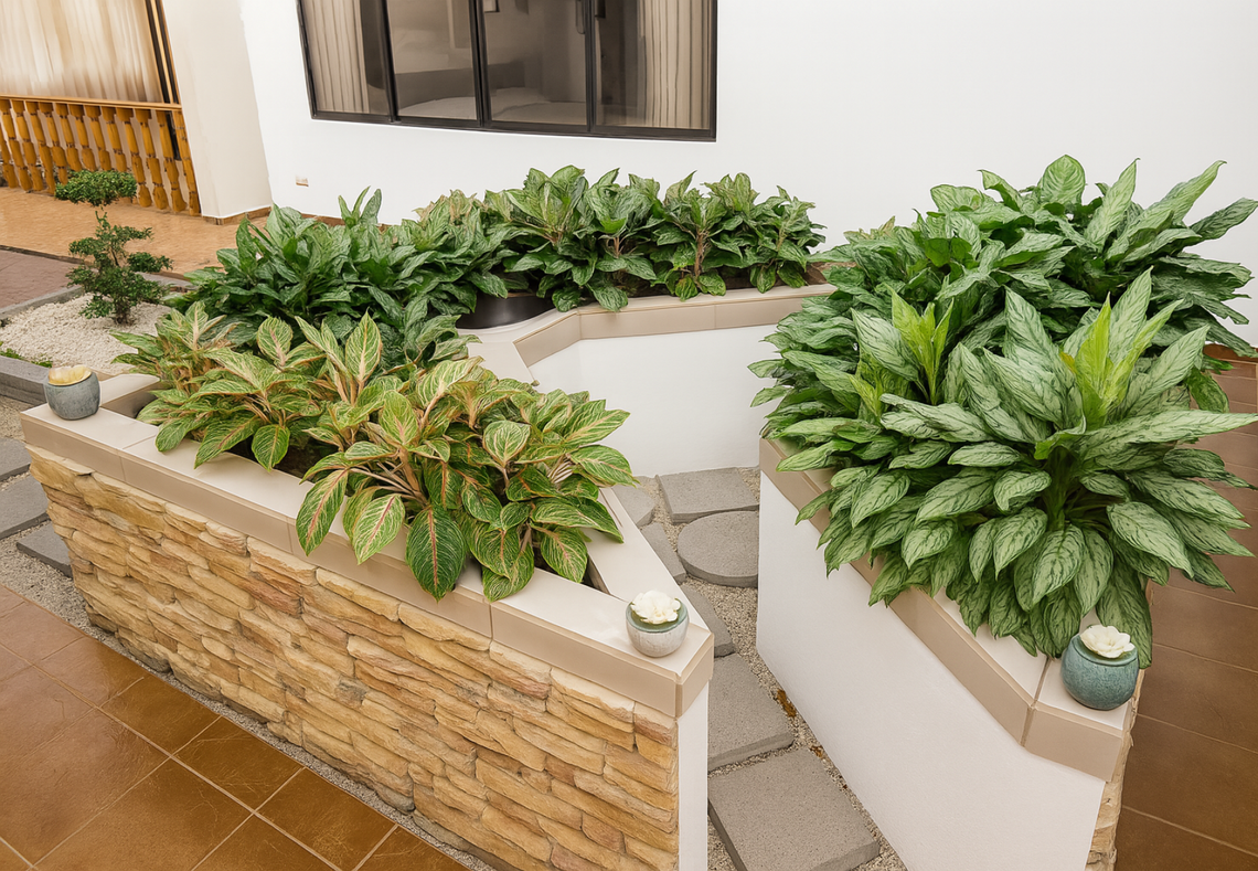 Indoor raised garden.